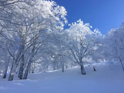 1+ day Private Nagano Ski Session with FWQ pro Kazushige Sekiya