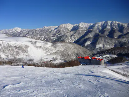 1+ day Skiing in Hakuba with FWQ skier Yoshiya Yamashiro