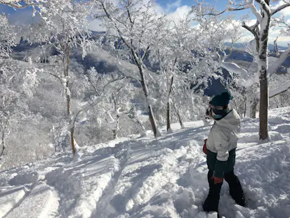 1+ day ride with the top female FWT snowboarder in Hokkaido