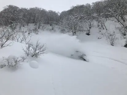Riding with the top female FWT snowboarder in Japan in Hakuba (Half-day)