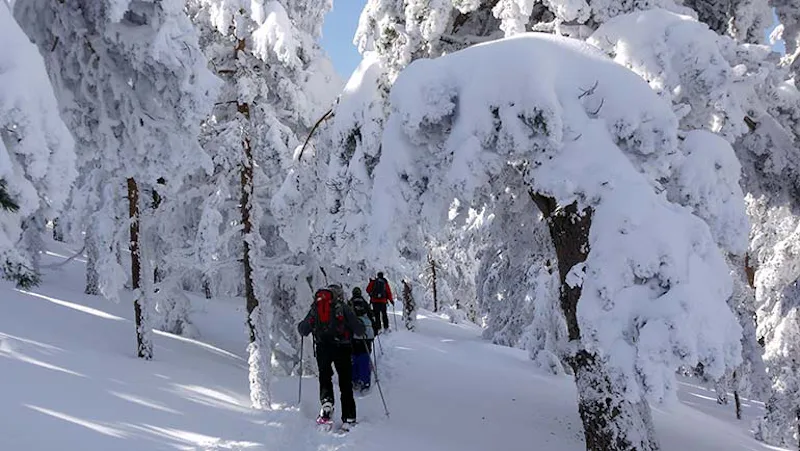 Snowshoeing in Madrid, 1-day in the Sierra de Guadarrama National Park 2