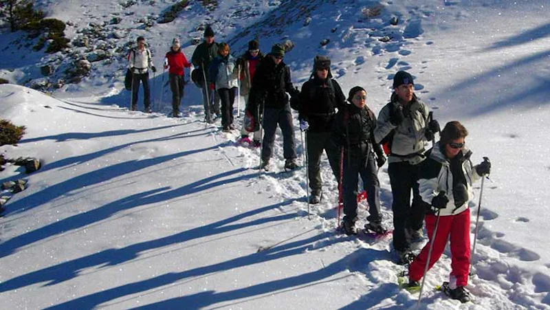 Snowshoeing in Madrid, 1-day in the Sierra de Guadarrama National Park 3