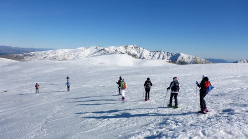 2-day snowshoeing  and stargazing in Sierra de Gredos, from Madrid