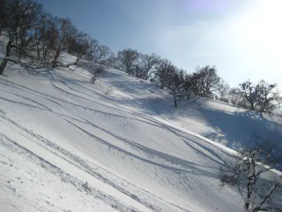 Half-day Ride with FWQ snowboarder Noriko Ishimatsu in Nozawa Onsen (Private)