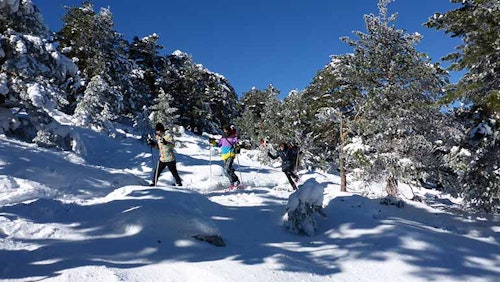 1-day Guided snowshoeing, Navacerrada, Sierra de Guadarrama