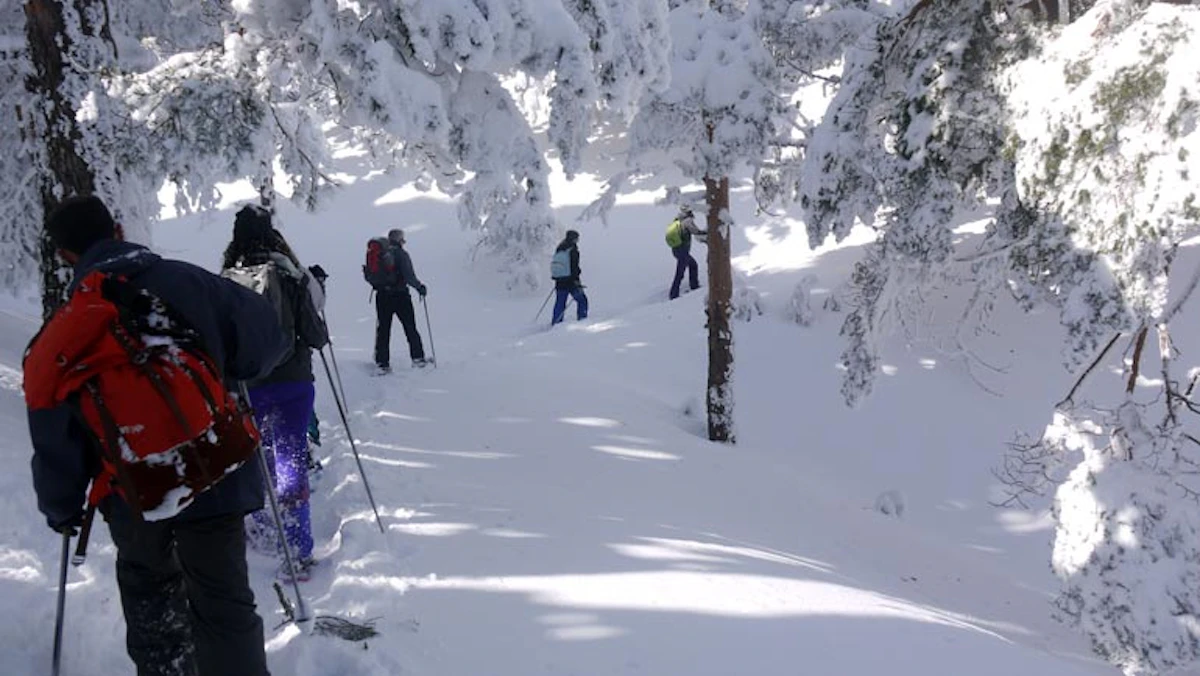 Family snowshoeing and igloo building adventure in Sierra de Guadarrama, 1 day