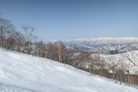 Sapporo Half-day Private Ski Session with FWQ skier Ayako Kuroda