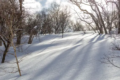 Skiing with FWQ Skier Yuhei Yamada in the Sapporo Area (Full Day)
