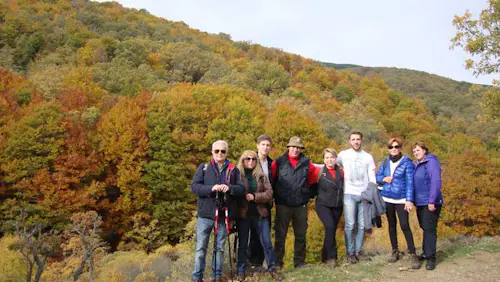 Hayedo de Tejera Negra: 1-day Autumn hiking tour in Guadalajara