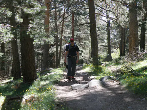 Trekking de medio día en Valle de la Barranca, Sierra de Guadarrama