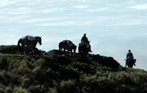5 days Horseback riding, Tilcara-Quebrada de Humahuaca, Las Yungas