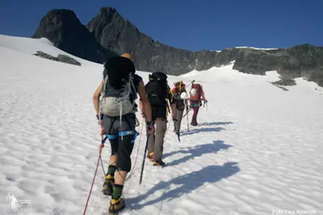 Falketind (2067m), Jotunheimen 1-day Guided hiking tour
