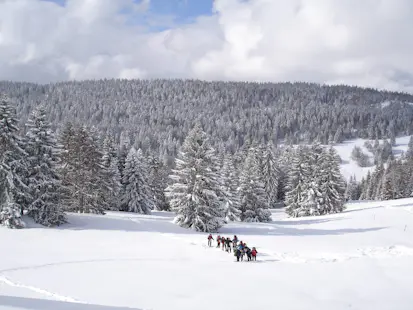 Guided snowshoeing day tours in Belgium