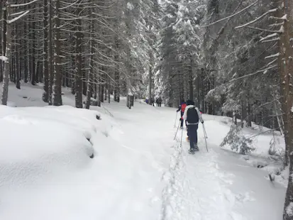 Evening snowshoeing and dinner in a mountain hut near Arco