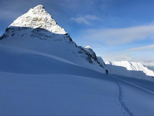 Alternative à la traversée Wapta, 4 Jours de ski de randonnée de Bow à Yoho