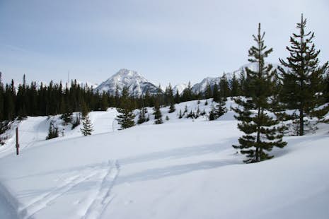 1+day backcountry skiing tours in Kananaskis, near Canmore