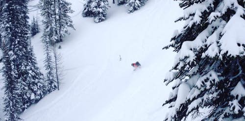 7-Day Kootenays Ski Touring with Avalanche Training, BC