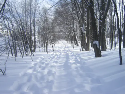 Snowshoeing day in Blue Mountains, Ontario