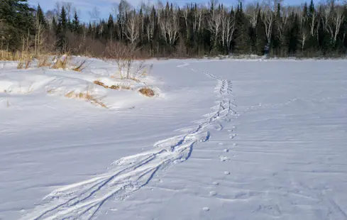 1-day Snowshoeing, Wine Tasting on the Apple Pie Trail, Ontario