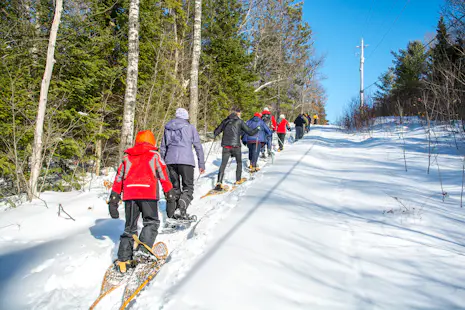 Half-day Snowshoeing tour in Algonquin Park, Ontario
