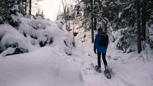 3-day Snowshoeing, Roman baths in the Vosges Mountains, France