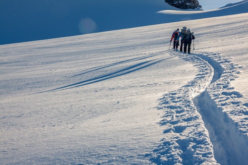 3-day Ski mountaineering in Fanes-Sennes-Prags