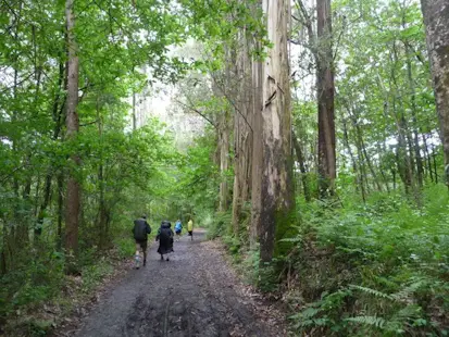 10-day Camino de Santiago hike via the French Way