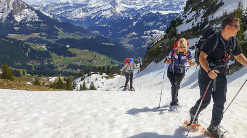 1-Week Snowshoeing Holiday in the Swiss Alps, Near Leysin