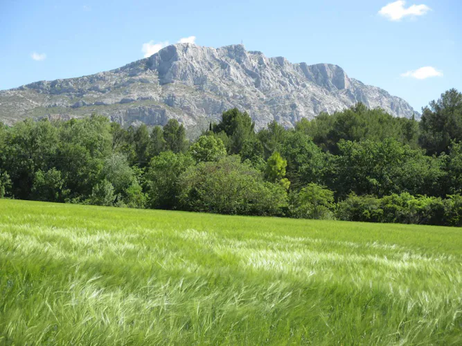 1-day Hiking in Provence, Montagne Sainte-Victoire
