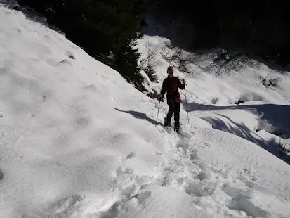 1-day Snowshoeing near Bex in Vallon de Javerne, Switzerland
