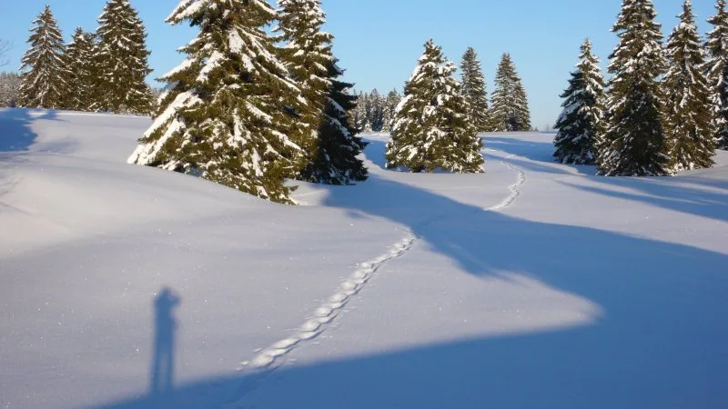 Snowshoeing in Jura Vaudois Nature Park, Switzerland