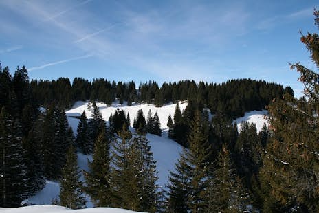 1-day Snowshoeing around Gruyère, Switzerland