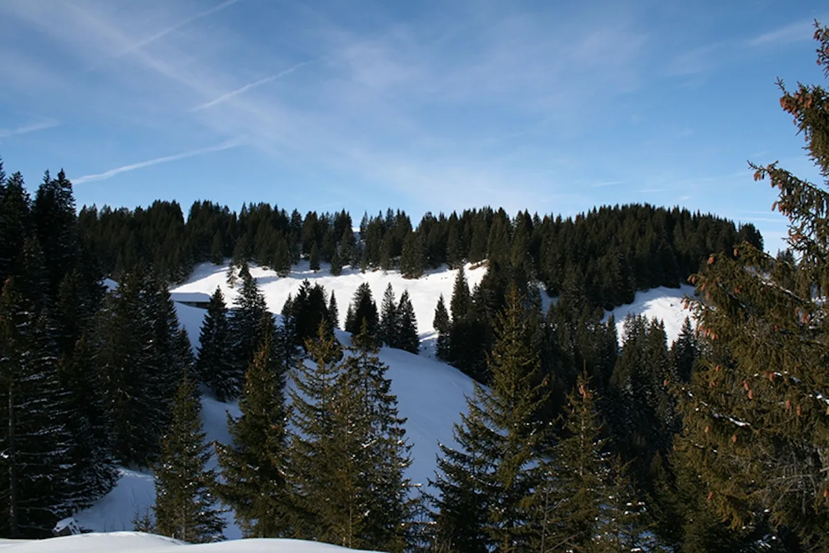 1-day Snowshoeing around Gruyère, Switzerland | Switzerland