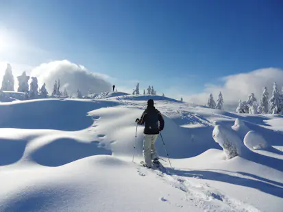 Half-day Snowshoeing in Pyhä-Luosto Park, Finland