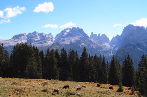 1-day Terza Cengia via ferrata on Pomagagnon in the Dolomites