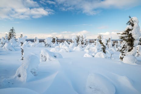 Backcountry Skiing Week in Eastern Lapland, Finland