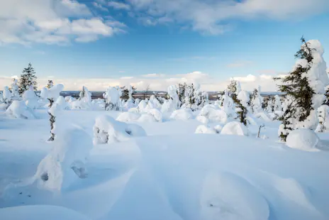 Backcountry Skiing Week in Eastern Lapland, Finland