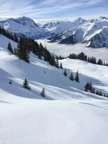 1-day ski touring program near Zurich, Switzerland 1