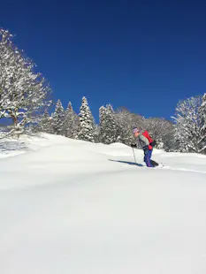 Introduction to ski touring in the Swiss Alps