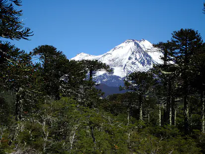 14-day Patagonian mountain bike adventure in Argentina and Chile