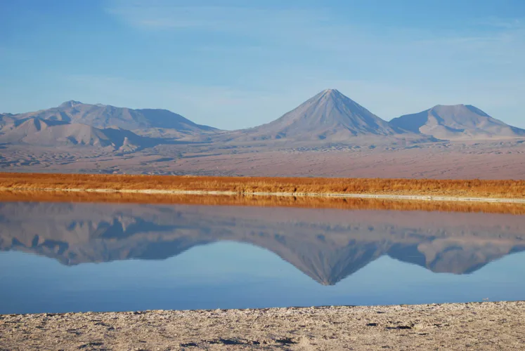 Half-day tour to Laguna Cejar, Atacama
