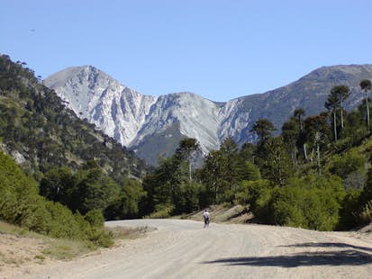 Mountain Bike tour to Seven Lakes from Villa La Angostura