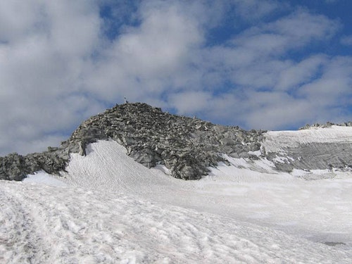 Schwarzenstein guided ascent, Zillertal Alps