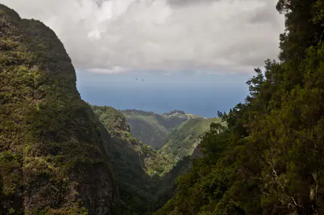 Madeira, Portugal, Caldeirao Verde, Guided Levada Hike
