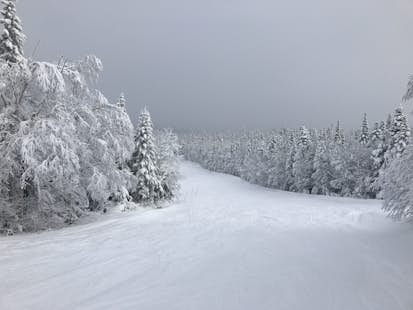 Half-day cross-country skiing in Domaine Saint-Bernard, Quebec