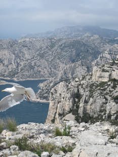 3-Day Calanques Rock Climbing Traverse from Marseille to Cassis