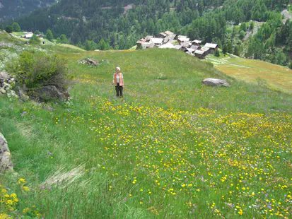 Excursión fácil de un día en Zermatt: Schwarzsee, Stafelalp, Zmutt, Edelweiss