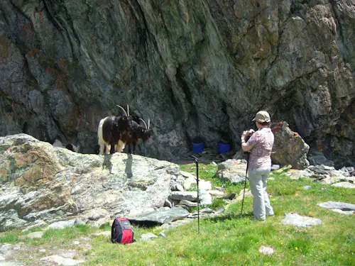 Refugio Monte Rosa, Alpes Suizos, Excursión Guiada de 2 Días