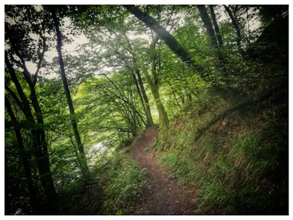 Bouillon, Belgium, Guided Trail Running initiation Weekend