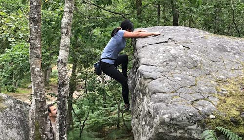 Fontainebleau bouldering half-day guided experience